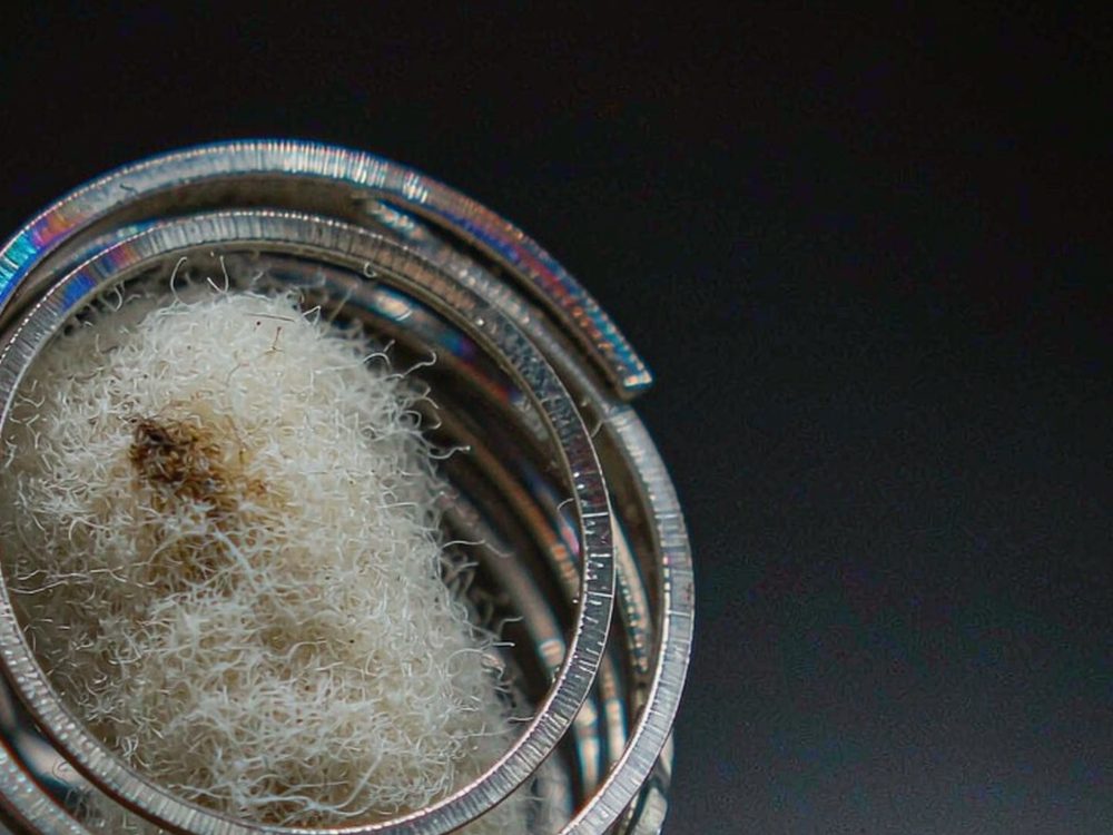 B2B Supply of Beipu in Japan — 2026